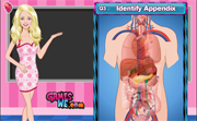 Barbie at Anatomy